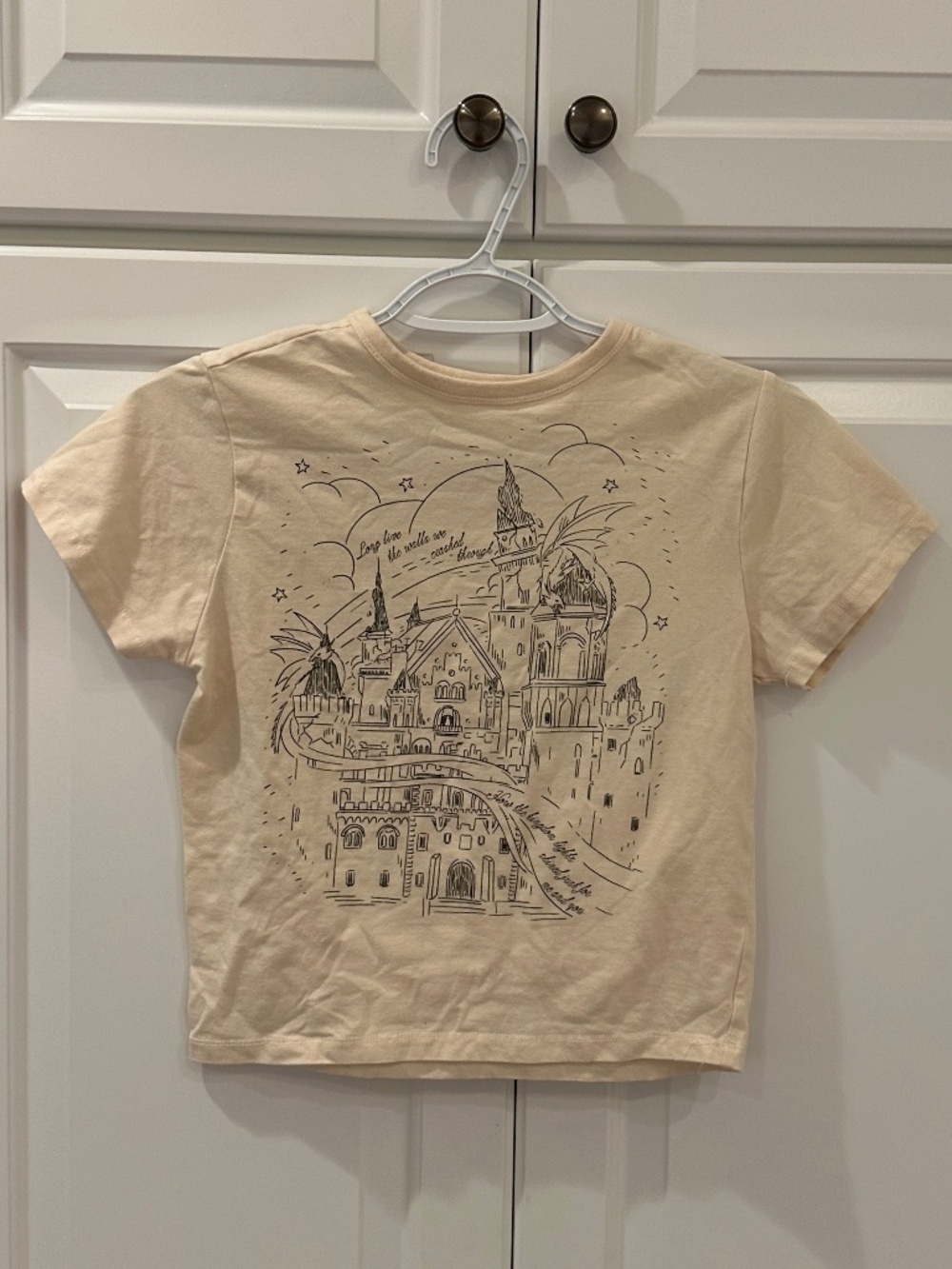 Taylor Swift Beige Graphic Crop Top with Black Print